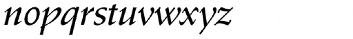 Schneidler Amalthea Medium Italic Font LOWERCASE