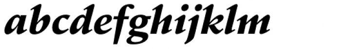 Schneidler Black Italic Font LOWERCASE