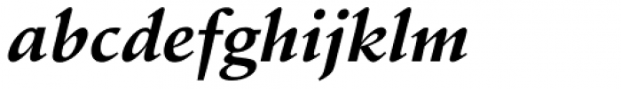 Schneidler Bold Italic Font LOWERCASE