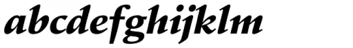 Schneidler EF Black Italic Font LOWERCASE