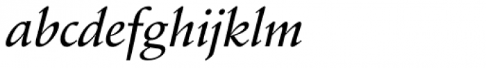 Schneidler EF Medium Italic Font LOWERCASE