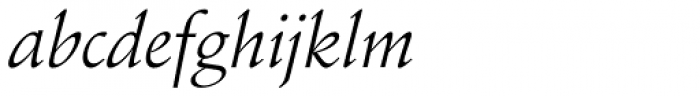 Schneidler EF Roman Italic Font LOWERCASE