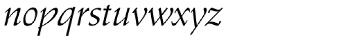 Schneidler EF Roman Italic Font LOWERCASE