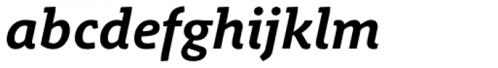 Schuss Slab Pro Bold Italic Font LOWERCASE