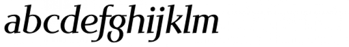 Scintilla Pro Italic Font LOWERCASE