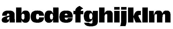 Scale Black Instance FONT