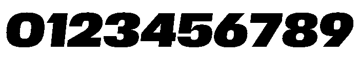 Scale BlackItalic Instance Font OTHER CHARS