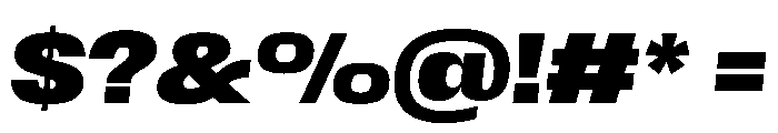 Scale BlackItalic Instance Font OTHER CHARS