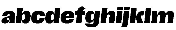 Scale BlackItalic Instance FONT