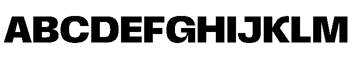 Scale Bold Instance Font UPPERCASE