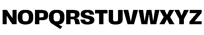 Scale Bold Instance Font UPPERCASE