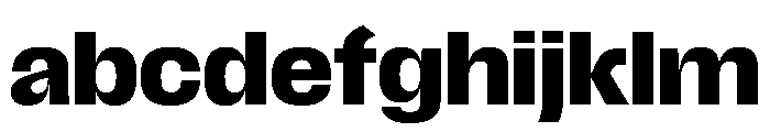 Scale Bold Instance FONT