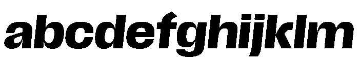 Scale BoldItalic Instance FONT