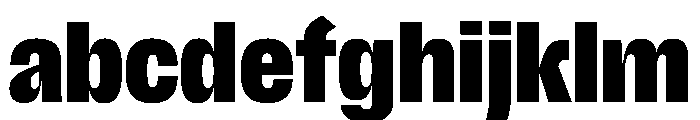 Scale CondensedBlack Instance FONT