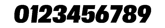 Scale CondensedBlackItalic Instance Font OTHER CHARS