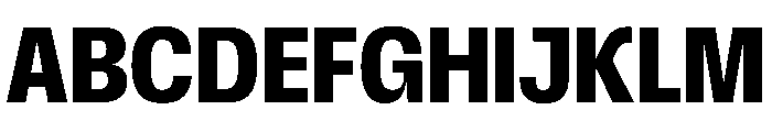 Scale CondensedBold Instance Font UPPERCASE