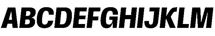Scale CondensedBoldItalic Instance Font UPPERCASE