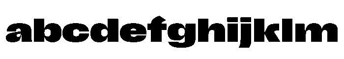Scale ExtendedBlack Instance FONT