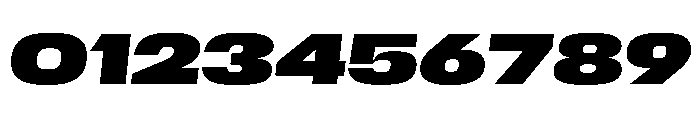 Scale ExtendedBlackItalic Instance Font OTHER CHARS