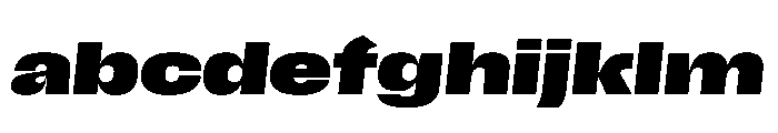Scale ExtendedBlackItalic Instance FONT