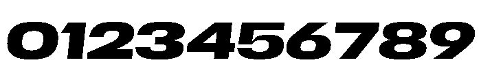 Scale ExtendedBoldItalic Font OTHER CHARS