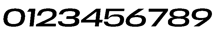Scale ExtendedItalic Instance Font OTHER CHARS