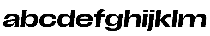 Scale ExtendedMediumItalic Instance FONT
