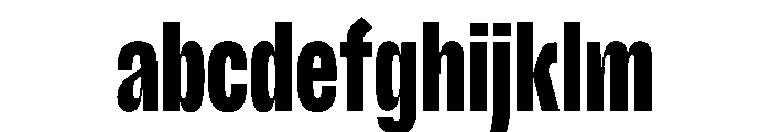 Scale ExtraCondensedBlack Instance FONT