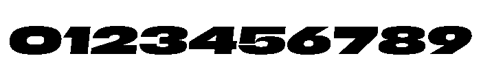 Scale ExtraExtendedBlackItalic Instance Font OTHER CHARS