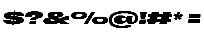 Scale ExtraExtendedBlackItalic Instance Font OTHER CHARS