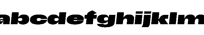 Scale ExtraExtendedBlackItalic Instance FONT