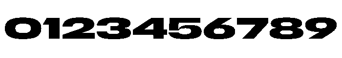 Scale ExtraExtendedBold Instance Font OTHER CHARS