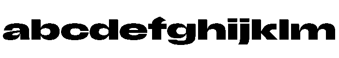Scale ExtraExtendedBold Instance FONT
