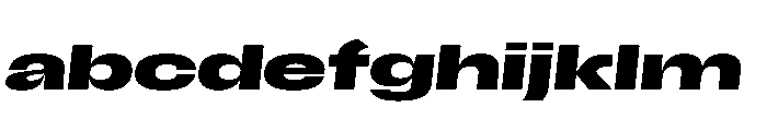 Scale ExtraExtendedBoldItalic Instance FONT