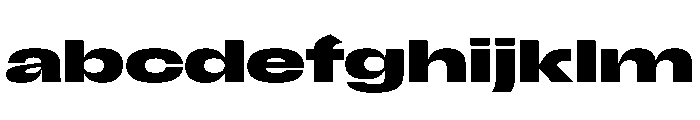 Scale ExtraExtendedBold FONT