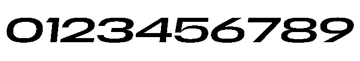 Scale ExtraExtendedItalic Instance Font OTHER CHARS
