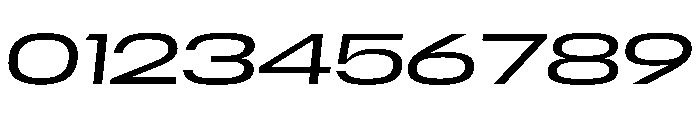 Scale ExtraExtendedLightItalic Instance Font OTHER CHARS