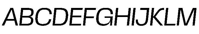 Scale LightItalic Instance Font UPPERCASE