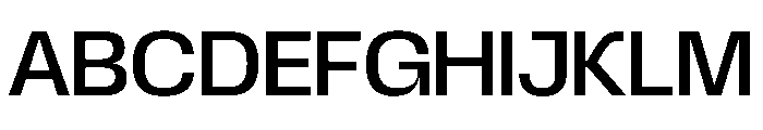 Scale Notfordesktopuse Instance E5c3efa4 Font UPPERCASE