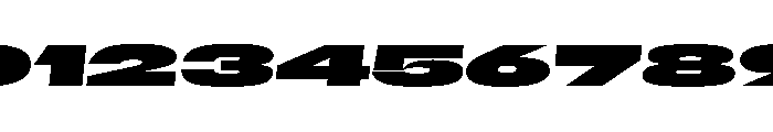 Scale SuperExtendedBlackItalic Instance Font OTHER CHARS
