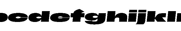 Scale SuperExtendedBlackItalic Instance FONT