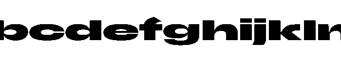 Scale SuperExtendedBold Instance FONT