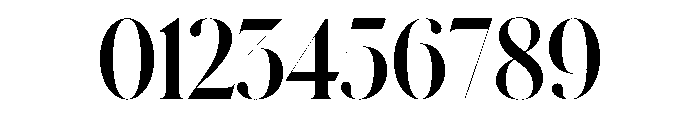Schnyder Condensed XL Bold Font OTHER CHARS
