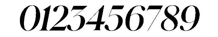 Schnyder L Bold Italic Font OTHER CHARS