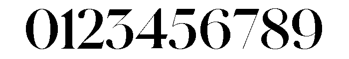 Schnyder L Bold Font OTHER CHARS