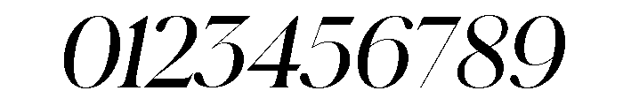 Schnyder L Demi Italic Font OTHER CHARS
