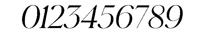 Schnyder M Light Italic Font OTHER CHARS