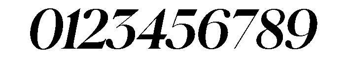 Schnyder S Bold Italic Font OTHER CHARS