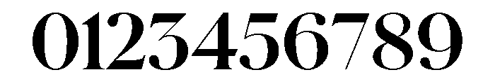 Schnyder S Bold Font OTHER CHARS