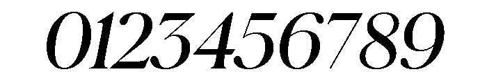 Schnyder S Demi Italic Font OTHER CHARS